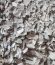 IMG-20250320-WA0004